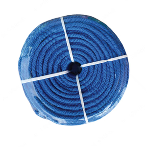 Hot Sale Solid Braided Polypropylene Rope Diamond Braided PP Rope for Cargo Control