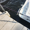 Bungee Dock Line 4ft 5ft 6ft Marine Boat Yacht Rope