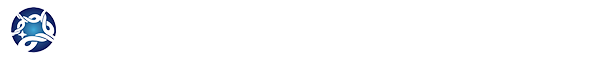 Google-AMP-logo-示例模板