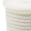 High Quality Twisted Nylon Anchor Line and Hook for Marine Boat and Yacht